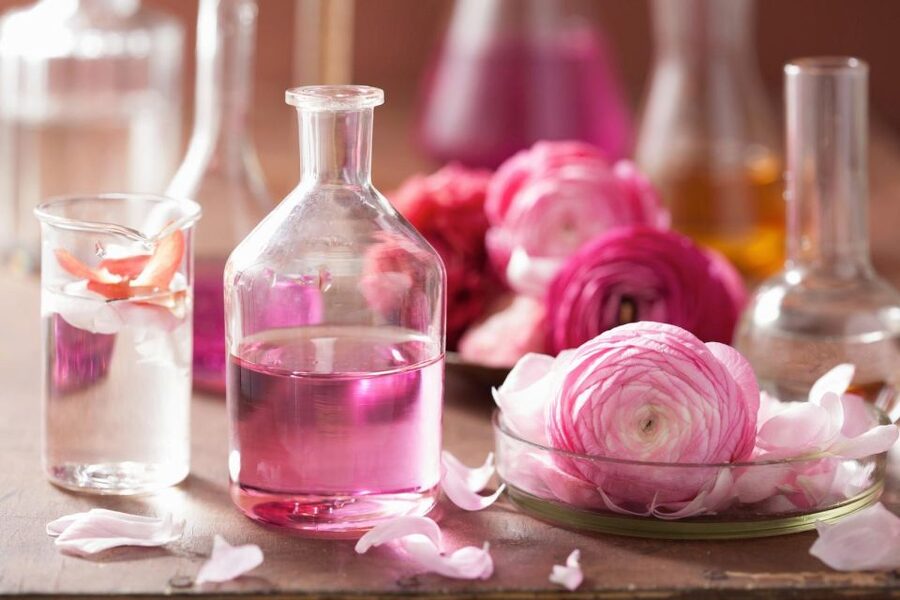 From Nice: Jewels of Provence Full-Day Tour with Transfers - Grasse and the Fragonard perfume tradition