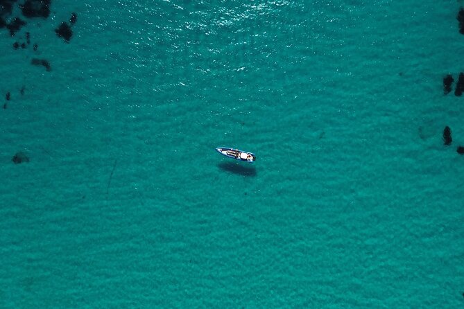 From Nice : Lerins Islands Boat Excursion with Snorkeling - What the $120.41 price really covers