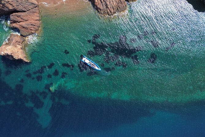 From Nice : Lerins Islands Boat Excursion with Snorkeling - Tips for making the afternoon smoother