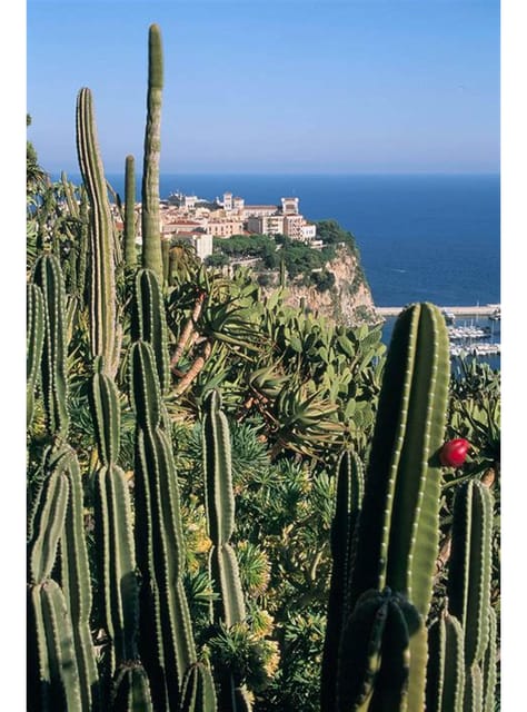 From Nice: Monaco, Monte Carlo & Eze Full-Day Tour - Entering Monaco through the Old Town