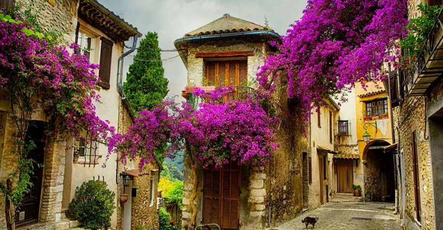 From Nice: Provence and its Medieval Villages Full-Day Tour - Key points at a glance