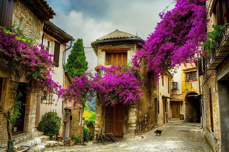 From Nice: Provence and its Medieval Villages Full-Day Tour - Gourdon’s fortified perch above the countryside
