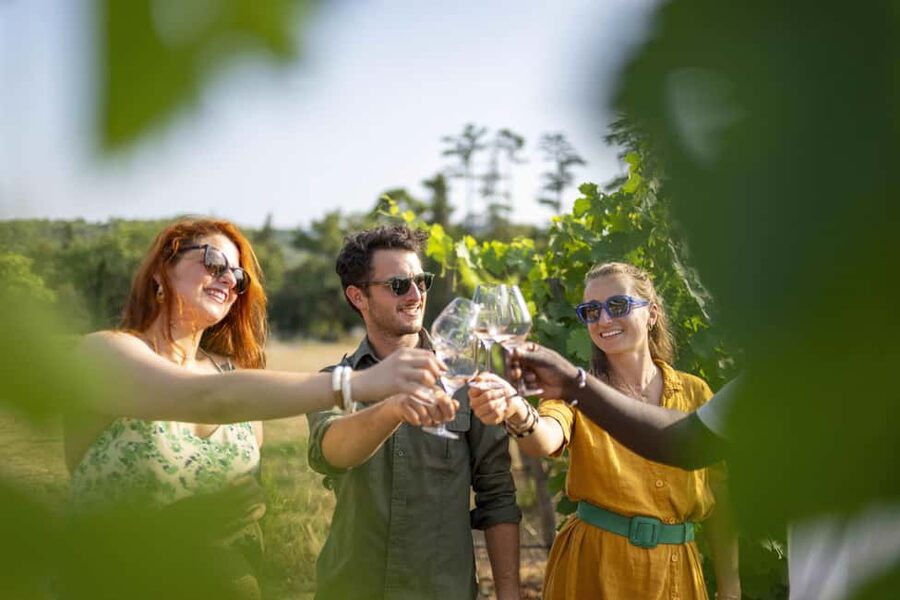 From Nice: Provence Wine Full-Day Tour - Booking details worth knowing