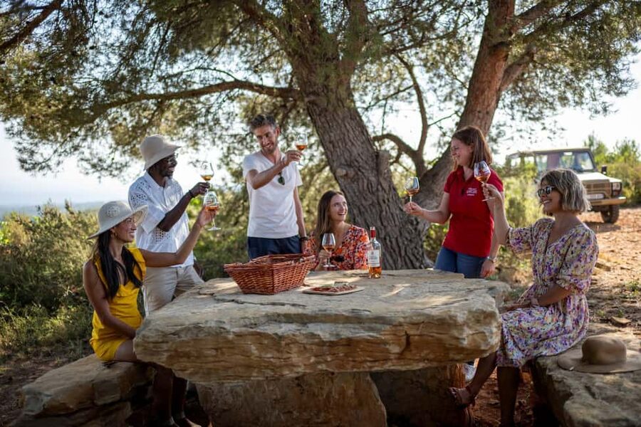 From Nice: Provence Wine Full-Day Tour - Meeting in Nice at 9:30 AM