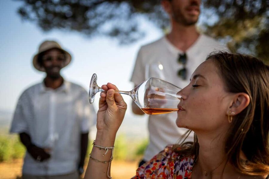 From Nice: Provence Wine Full-Day Tour - The final estate, organic wine and a memorable cellar