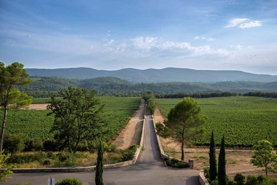 From Nice: Provence Wine Full-Day Tour - Who will enjoy this day most?