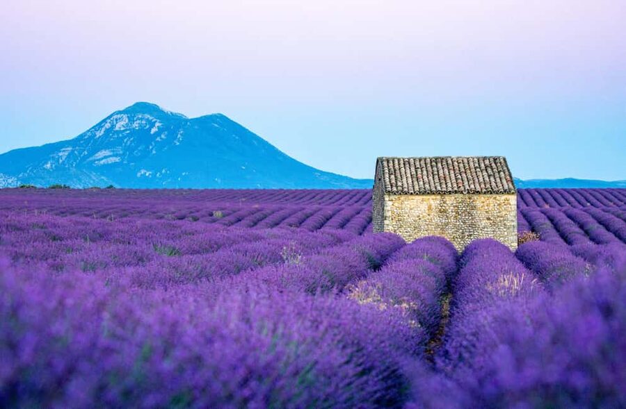 From Nice: Verdon Gorges & Lavender Fields Tour & Transport - The Verdon Gorge and its 700-meter cliffs