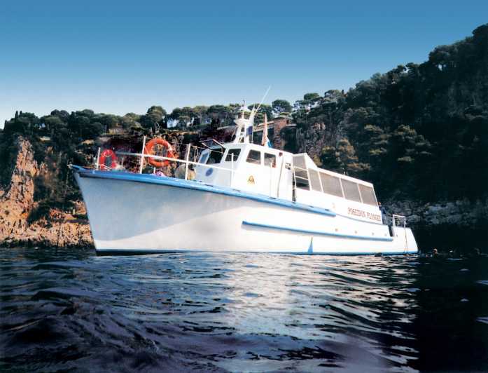 From Nice: Villefranche Bay Swimming & Snorkeling Boat Tour - What you might see beneath the surface