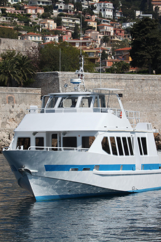 From Villefranche-sur-Mer: Guided Dolphin-Watching Tour - Weather, seasickness, and the four-hour commitment