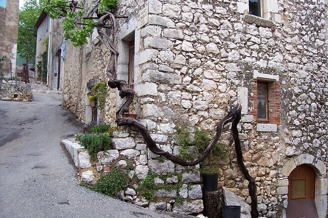 Full day Guided Tour: Cannes, Antibes, St Paul de Vence from Nice - Who should book this Côte d’Azur tour?