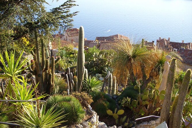 Full Day Tour in Eze Monaco and Monte-Carlo from Nice - Transport, group size, and the price