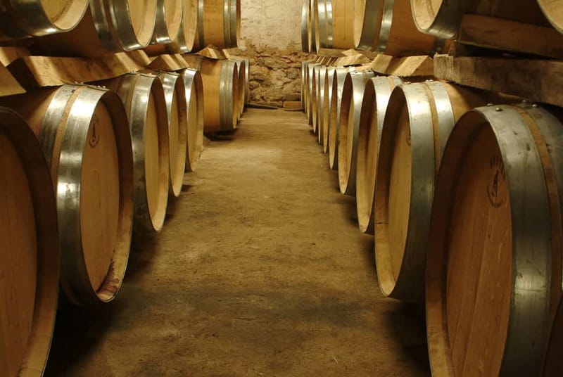 Full-Day Wine Tour in Bellet & Saint-Paul de Vence From Nice - What the guide adds to the day