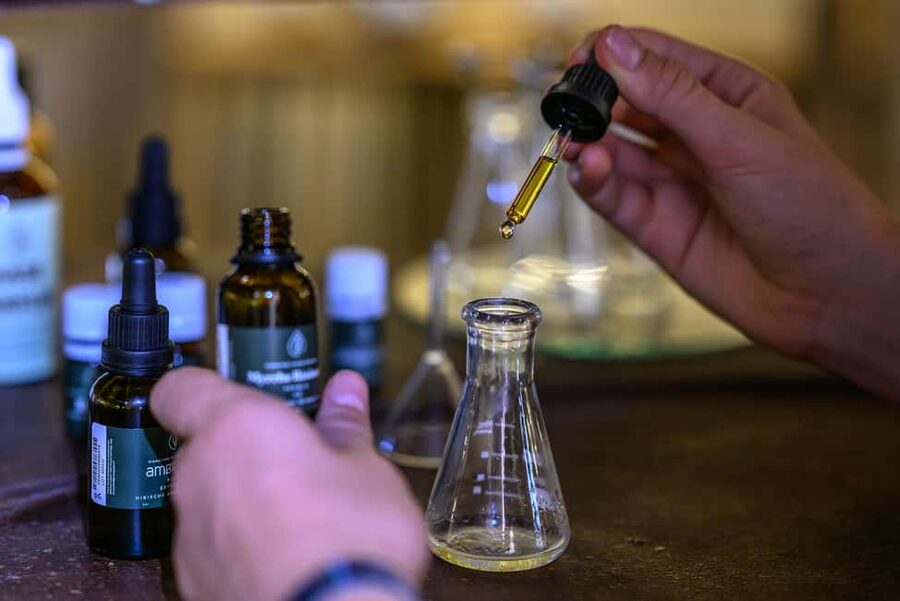 Grasse: 100% natural perfume creation workshop - Meeting the raw materials: beans, resins, roots, seeds, and pods