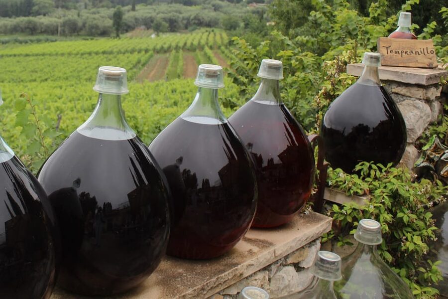 Grasse, Valbonne & Gourdon: Day Tour with Wine Tasting - Who Should Book This Day Out?