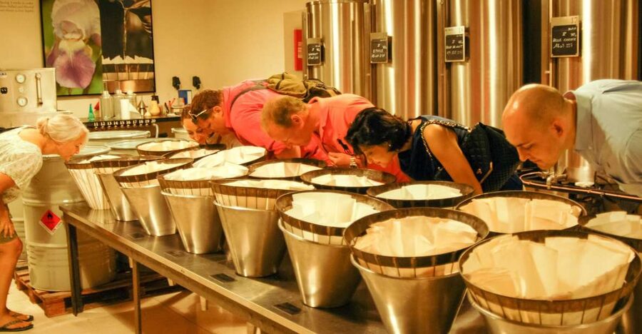 Grasse, Valbonne & Gourdon: Day Tour with Wine Tasting - Practical Advice for a Smoother Day