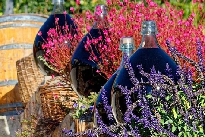 Half-Day Wine Tasting and Saint Paul de Vence Tour from Nice - Is $112.94 a fair price?