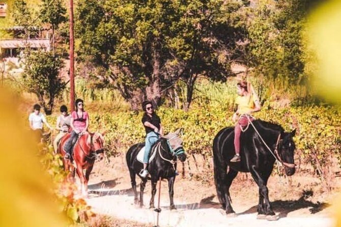 Horse riding in the vineyards of Grimaud + wine tasting - Key points to know before booking