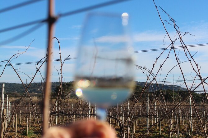 Horse riding in the vineyards of Grimaud + wine tasting - Why this ride shows you another side of Saint-Tropez