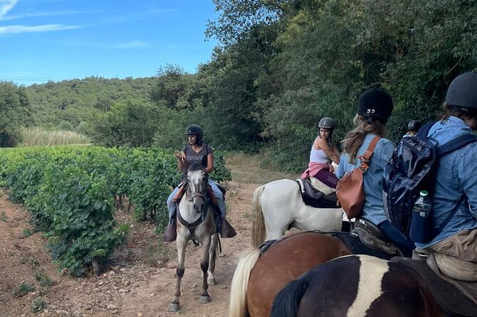 Horse riding in the vineyards of Grimaud + wine tasting - Is $86.82 a fair price?