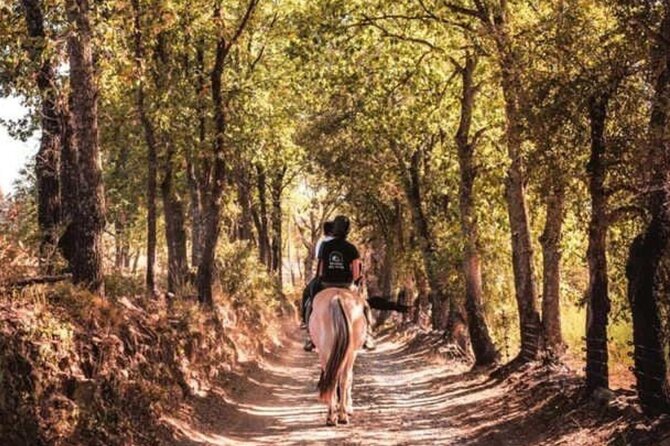 Horse riding in the vineyards of Grimaud + wine tasting - Vineyards, forest, and the rural Gulf