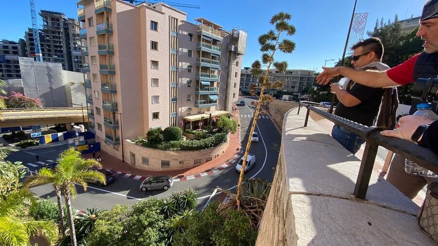 Monaco: Formula One Circuit Guided Walking Tour - Key points at a glance