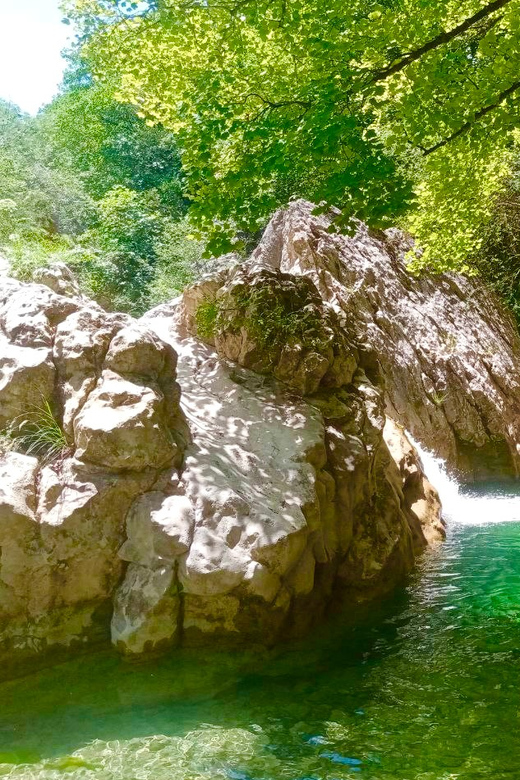 Mountain Train Experience: Hike & Mystic Forest (From Nice) - Key points to know before booking