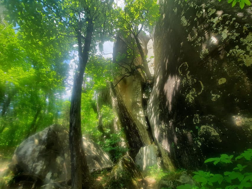 Mountain Train Experience: Hike & Mystic Forest (From Nice) - The guide can shape the whole day