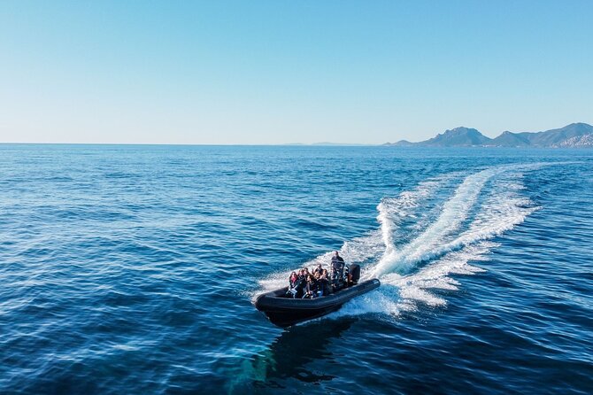 Nautical excursion - Cannes-St Tropez - What the $173.52 price really covers