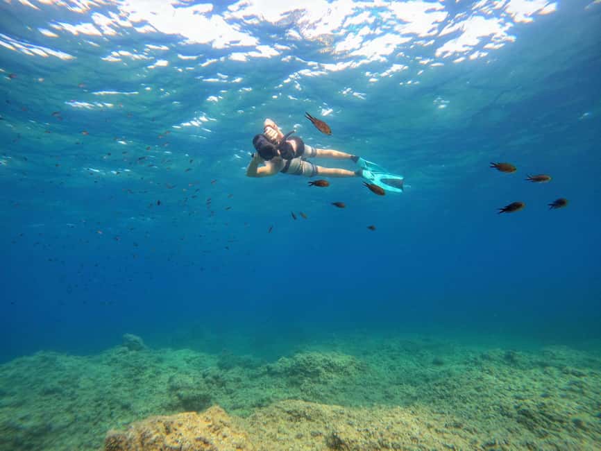 Nice, Cap d'Ail: Sea Scooter Snorkeling Tour - Best time and expectations for sea life