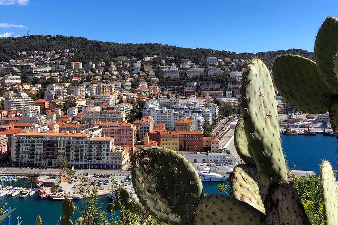 Nice City Best Highlights E-bike Tour - Port Lympia and the old harbor