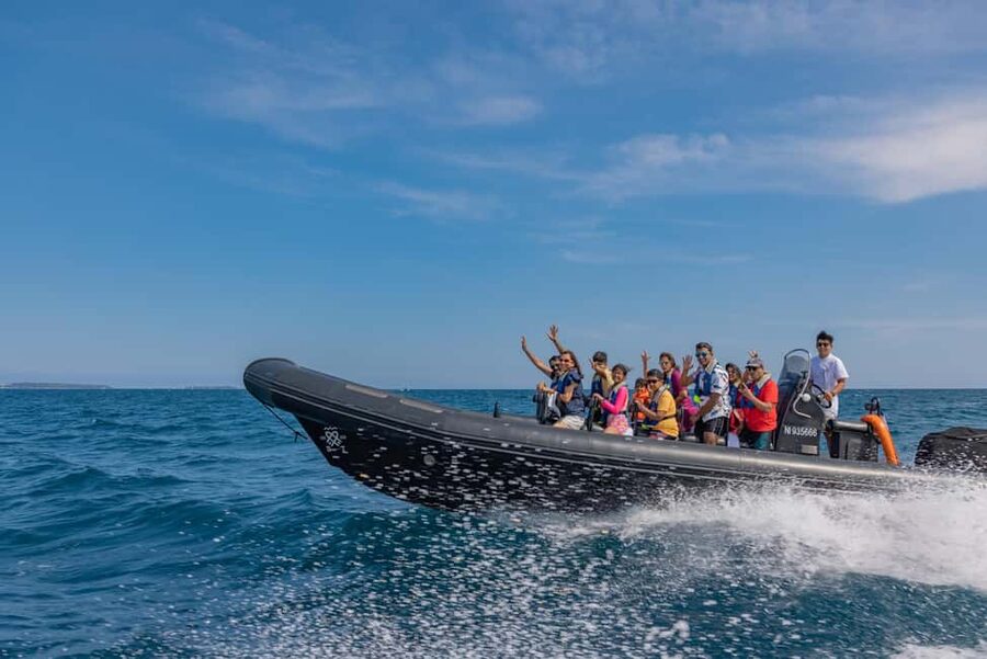 Nice: Coastline Boat Cruise to Monaco - Key points to know before you book