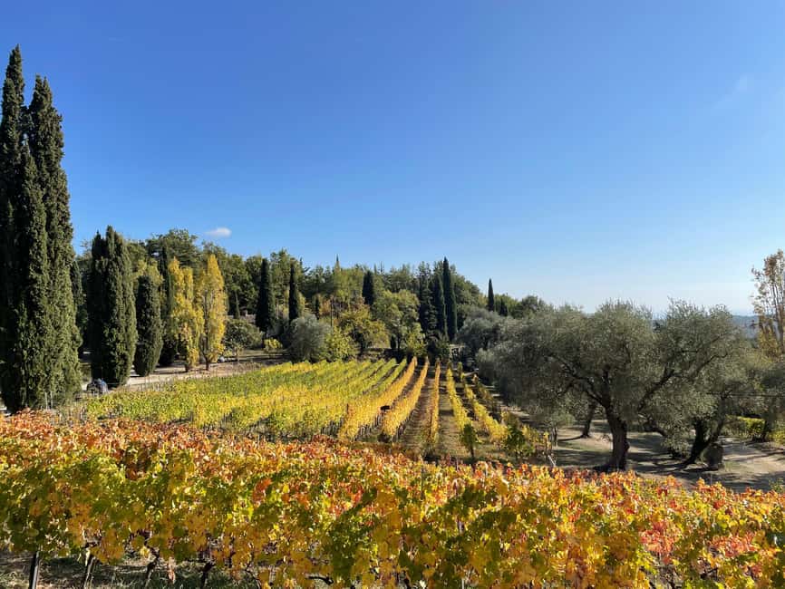 Nice: Full-Day Côtes de Provence Wine Tour - Comparing the second estate before lunch