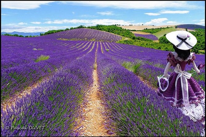 Nice: Gorges of Verdon and Fields of Lavender Tour - Why the Verdon Gorge makes this a worthwhile day trip