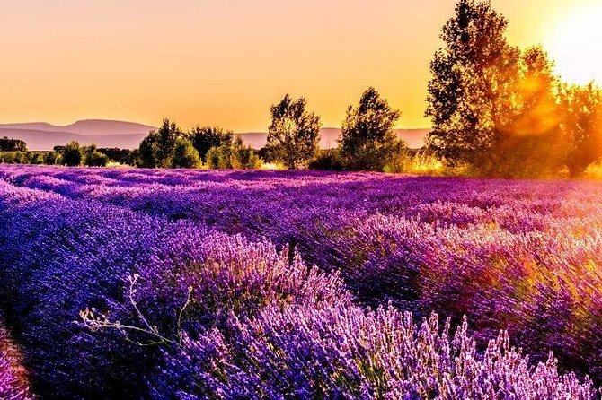 Nice: Gorges of Verdon and Fields of Lavender Tour - Castellane, a compact mountain stop