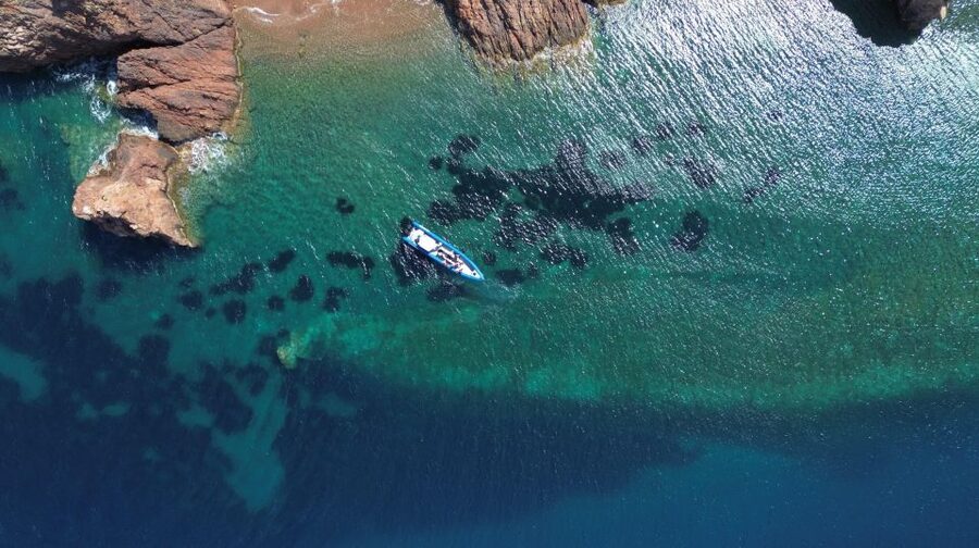 Nice: Lerins Islands Boat Tour with Snorkeling - Key points to know before booking