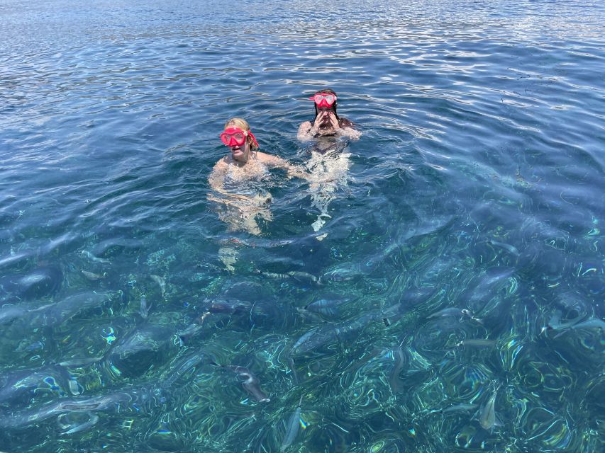 Nice: Monaco & Mala Caves Boat Trip with Snorkeling - Èze and Cap Ferrat by open water