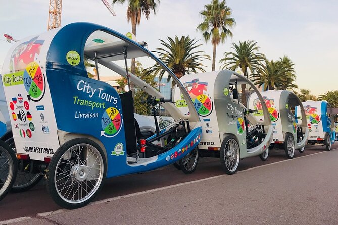 Nice: private guided Tour by electric taxi bike - The longer route to the Russian Cathedral