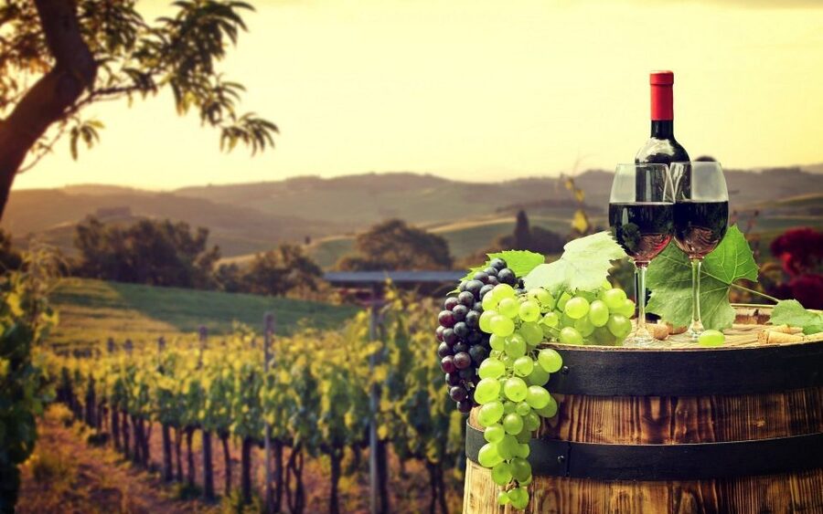 Nice: Provence Village Tour with Wine and Produce Tasting - Opio’s olive groves and a 15th-century mill