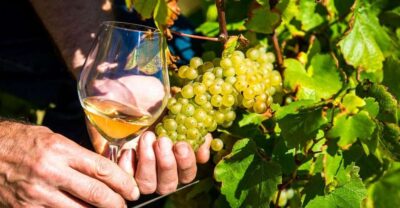Provence Village Tour with Wine and Produce Tasting