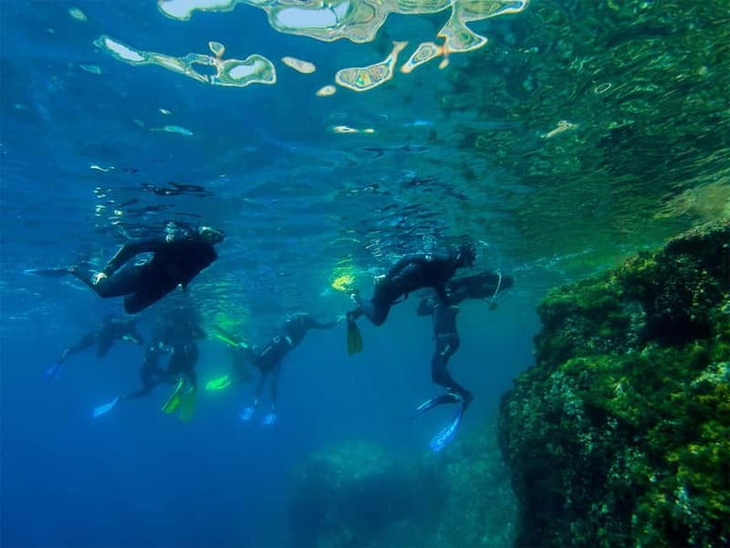 Nice: Snorkeling Speedboat Tour in Villefranche Bay - Key points to know before booking