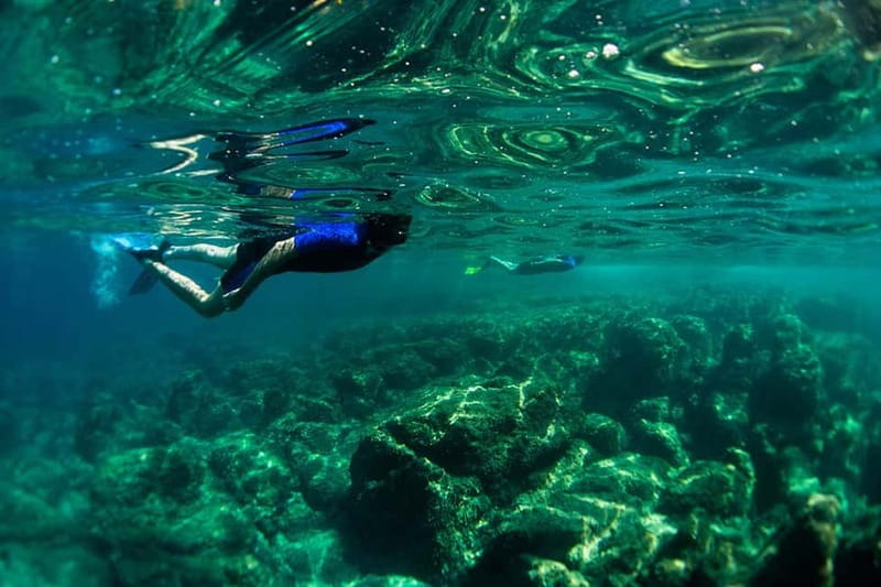 Nice: Snorkeling Speedboat Tour in Villefranche Bay - Leaving Nice from Port des Docks