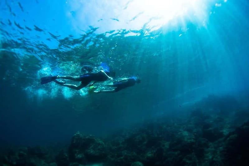 Nice: Snorkeling Speedboat Tour in Villefranche Bay - Returning to Nice by boat