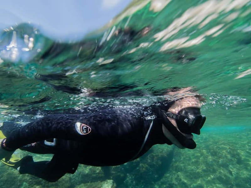 Nice: Snorkeling Speedboat Tour in Villefranche Bay - Is $68 a fair price?