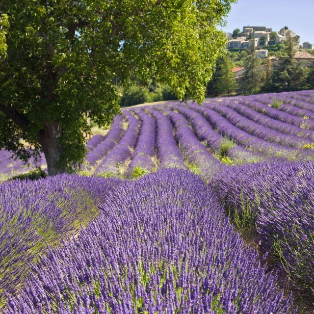 Nice: The Gorges du Verdon and Ste Croix Lake Full-Day Tour - Moustiers-Sainte-Marie and the pottery tradition
