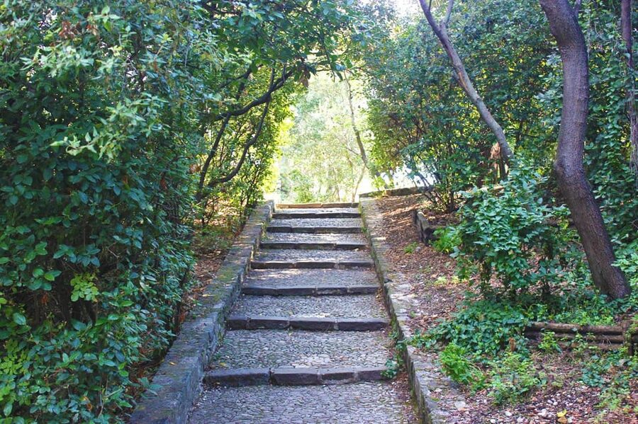 Nice: Theatrical History Tour - Secrets of the Castle Hill - The final call: book it or choose a standard walk?