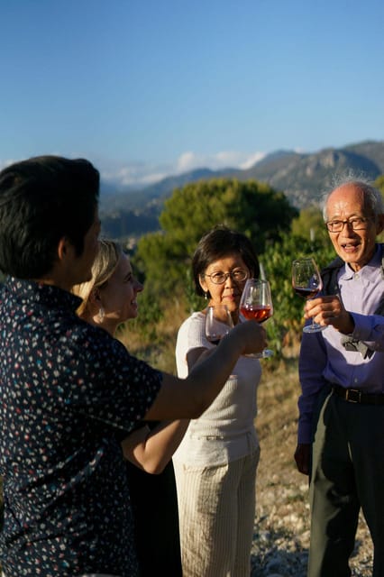 Nice: Vineyard Tour with Wine Tasting - From grapes to barrels and cellar