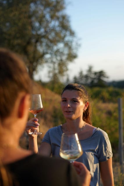 Nice: Vineyard Tour with Wine Tasting - Thirty minutes to look around