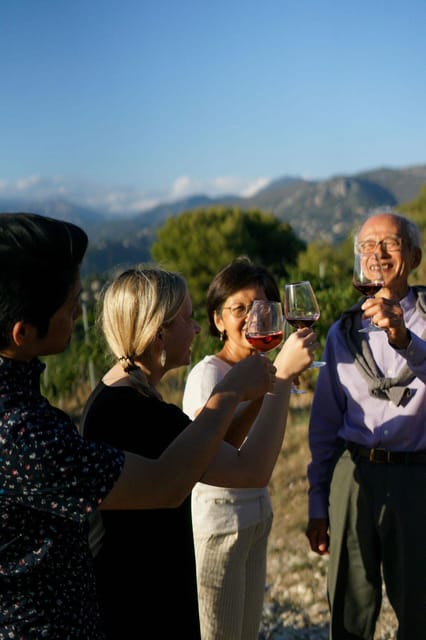 Nice: Vineyard Tour with Wine Tasting - Walking the vines with a local guide