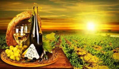Organic Wine Tasting with Saint paul Half Day Tour from Nice