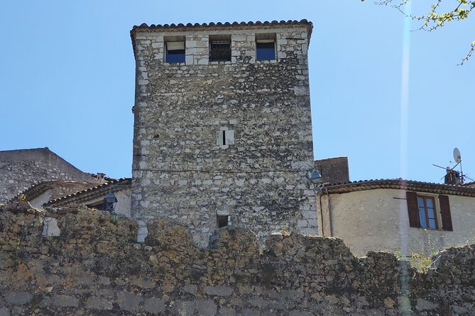 Private Customized French Riviera Tour from Port of Cannes 8H - The guide matters more than the vehicle